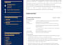 provide senior executive project coordination and  support